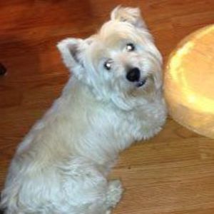 Meet your Posher, Mary